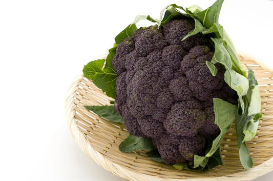 Broccolo nero modicano (1 pezzo)